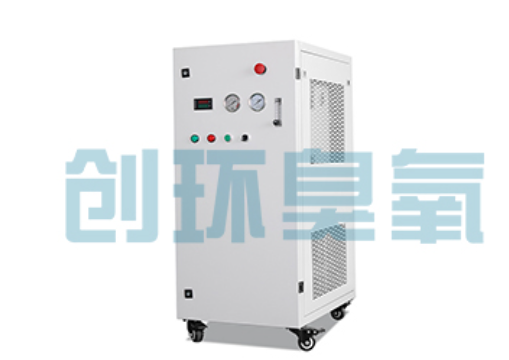 泰州石斑鱼养殖水质调控完整指南:臭氧发生器配置与操作步骤