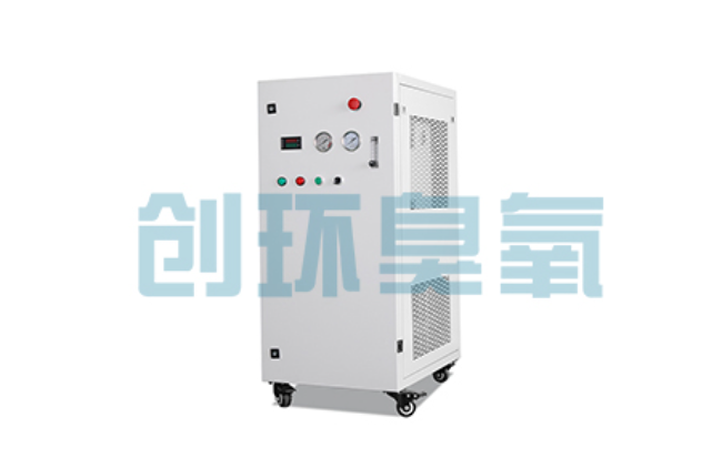 泰州比传统换水更高效?臭氧发生器在石斑鱼养殖中的水质净化原理解析
