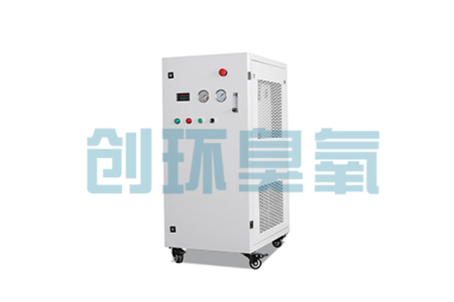 泰州比传统换水更高效?臭氧发生器在石斑鱼养殖中的水质净化原理解析